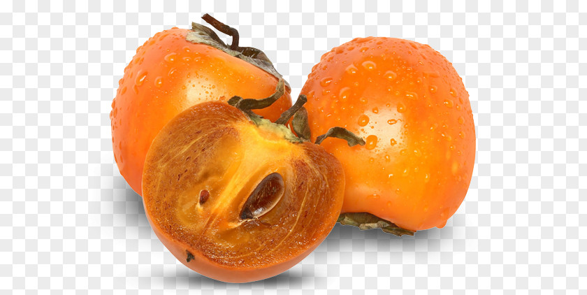 Persimmon Japanese Fruit Khaki Common PNG