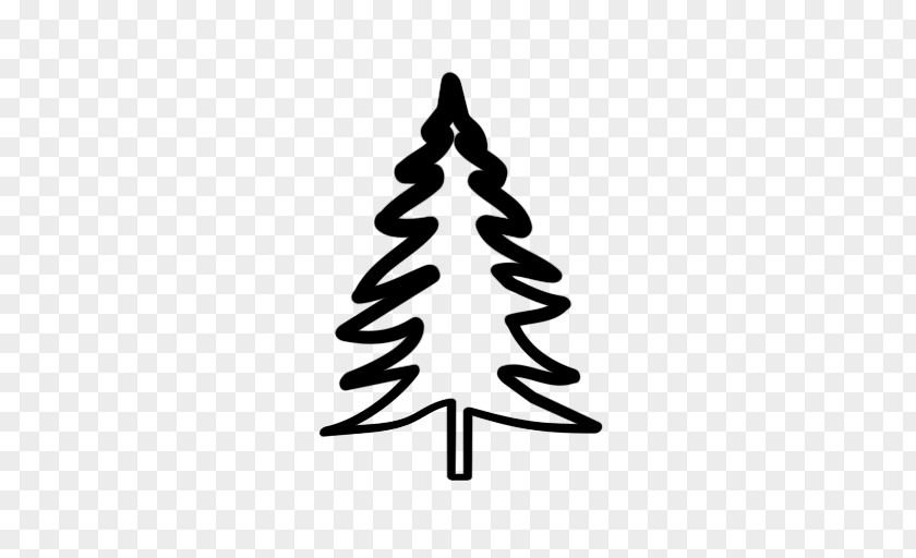 Tree Evergreen Fir Drawing Pine PNG