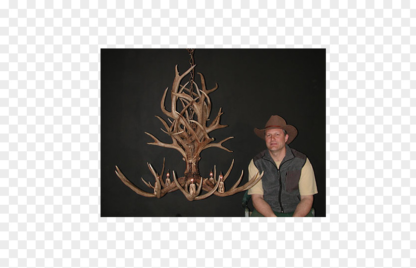 Antler Mule Deer Antlers By Cody Chandelier PNG