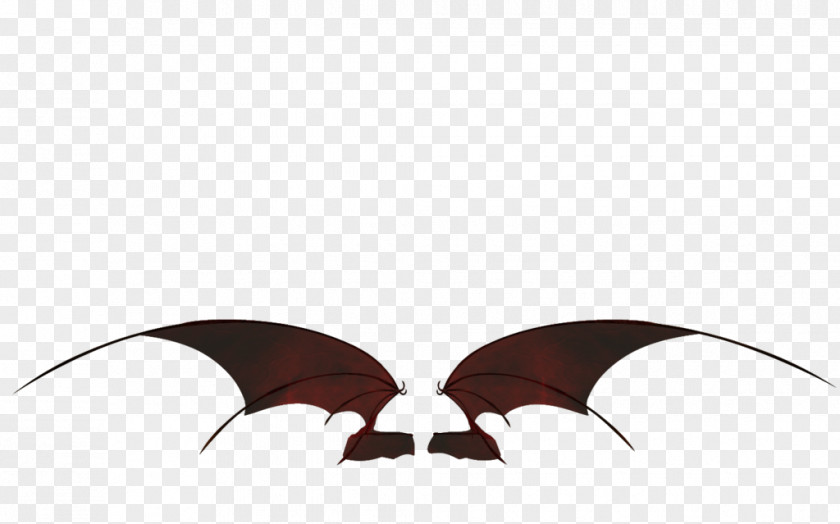 Bat Wing Butterfly PNG