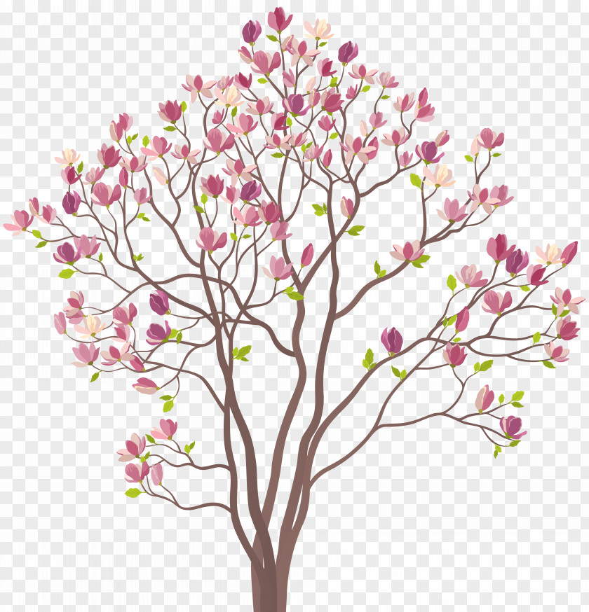 Mmagnolia Tree Clip Art Image Southern Magnolia Royalty-free PNG