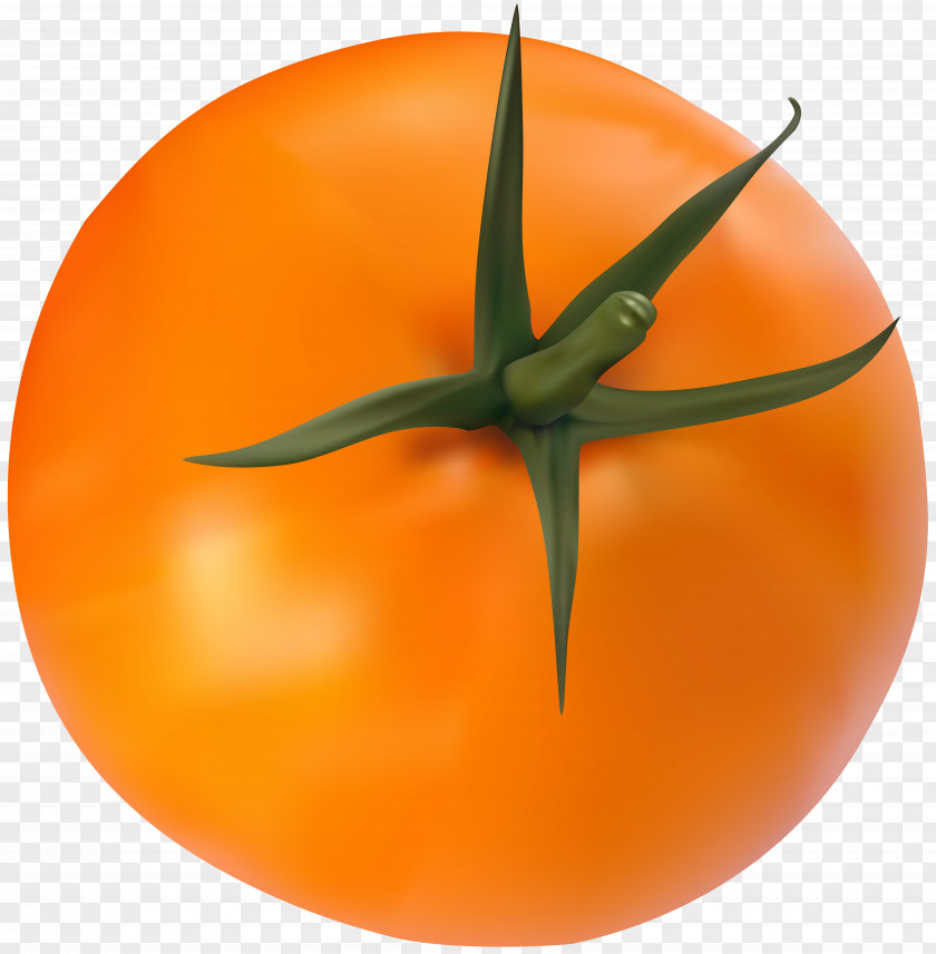 Orange Vegetables Tomato Clip Art PNG