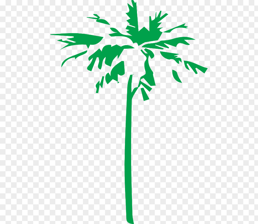 Tree Arecaceae Logo Clip Art PNG