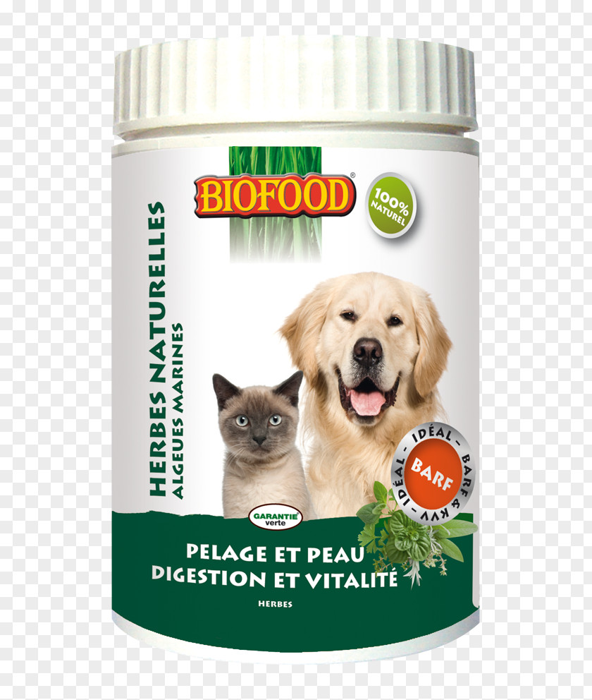 Dog Dietary Supplement Cat Food Eating PNG