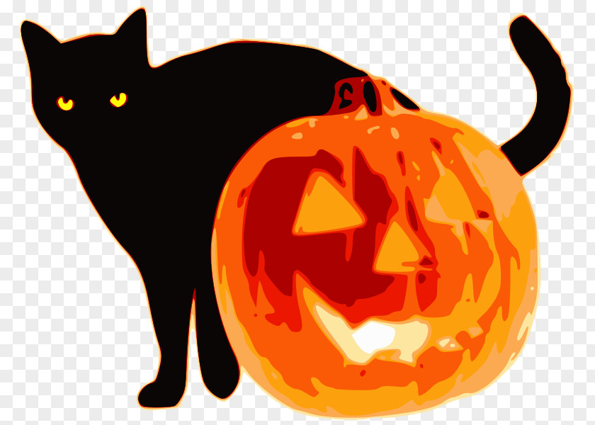 Jacko'lantern Jack-o'-lantern Kitten Whiskers Cat Halloween PNG