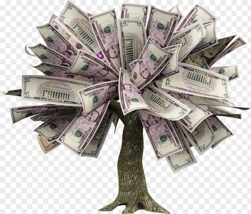 Money Tree Guiana Chestnut Finance Investment Saving PNG