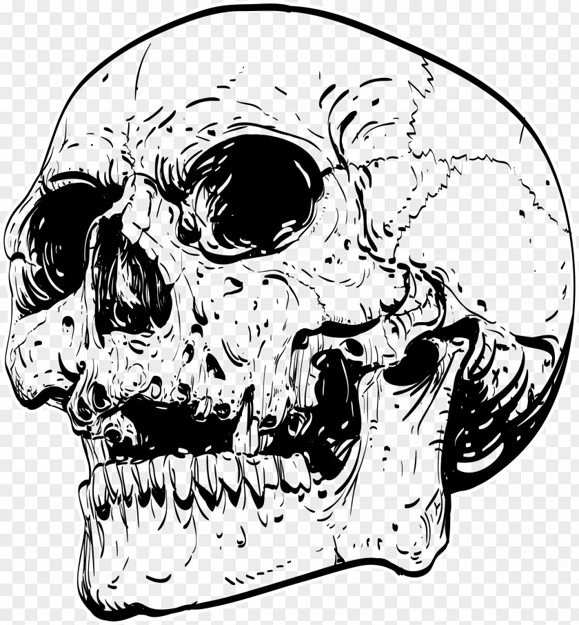 Punk Wind Black Skeleton T-shirt Skull Drawing Work Of Art PNG