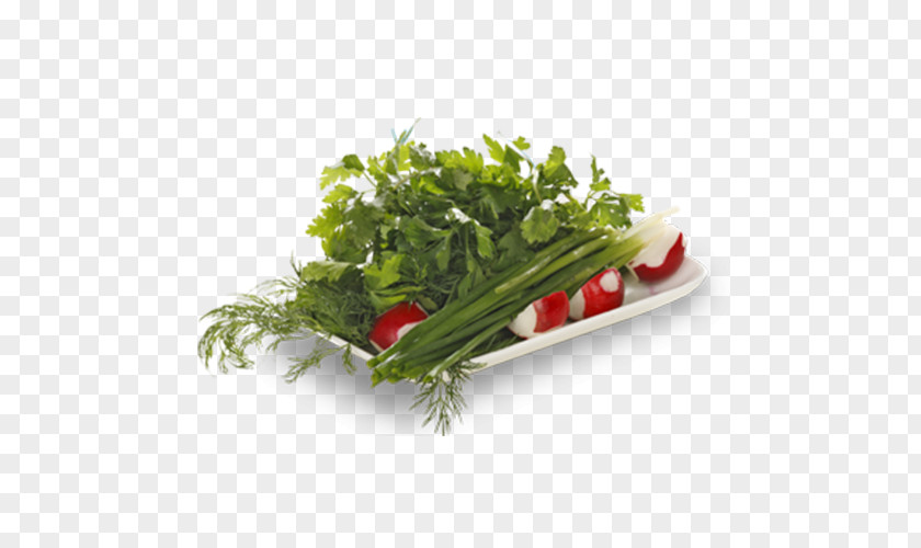 Salad Leaf Vegetable Herb Khinkali Kharcho Sujuk PNG