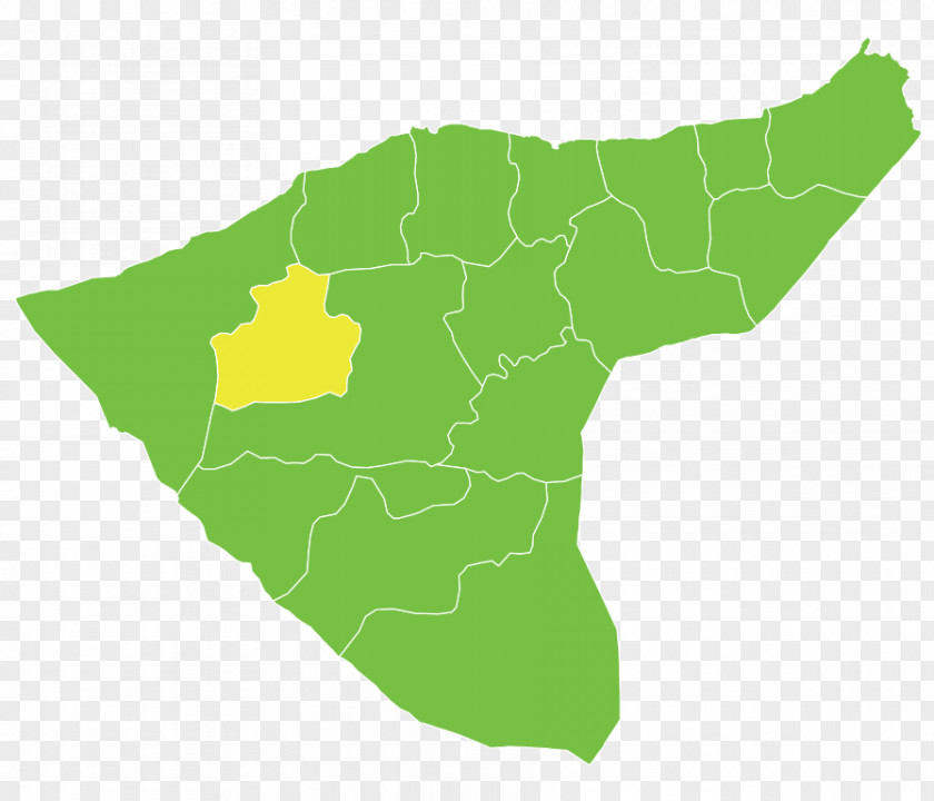 Tamer Al-Darbasiyah Subdistrict Ras Al-Ayn Amuda Tel PNG