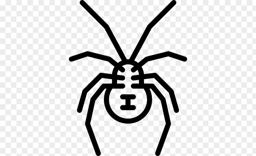 VIUDA NEGRA Spider Insect Southern Black Widow Clip Art PNG