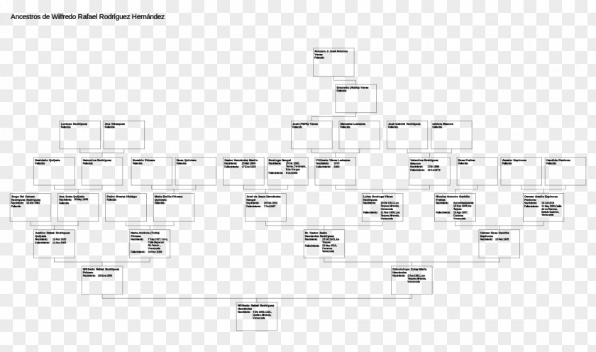 Family Tree Public Domain Licence CC0 Copyright Creative Commons Wikimedia PNG