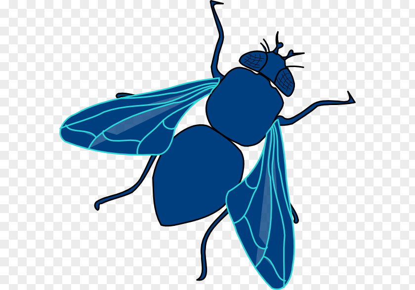 Flies Cliparts Housefly Clip Art PNG
