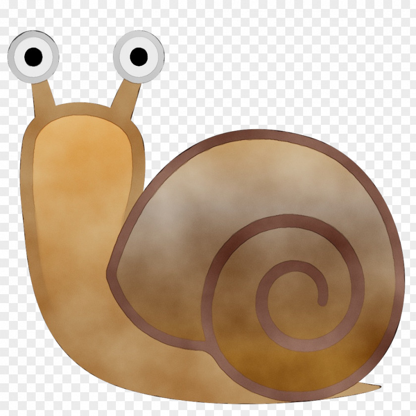 Snails And Slugs Seashell Emoji PNG