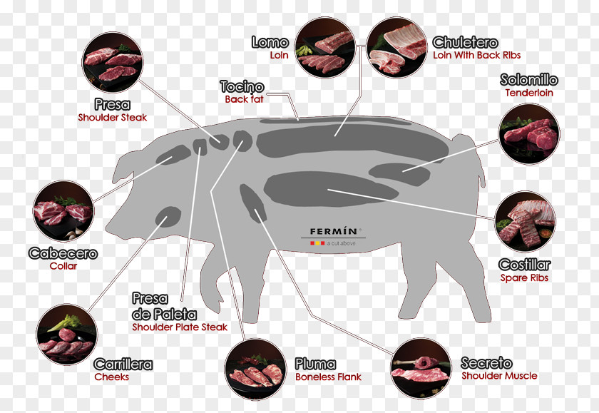 Acorn Black Iberian Pig Peninsula Spare Ribs Embutido Pork PNG