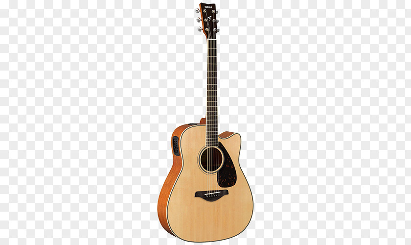 Acoustic Guitar Twelve-string Takamine Guitars Acoustic-electric PNG