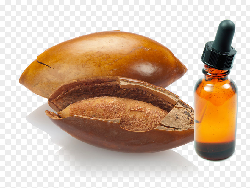 Mamey Sapote Aceite De Hueso Stock Photography PNG