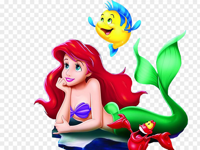Mermaid Ariel Scuttle The Walt Disney Company Clip Art PNG