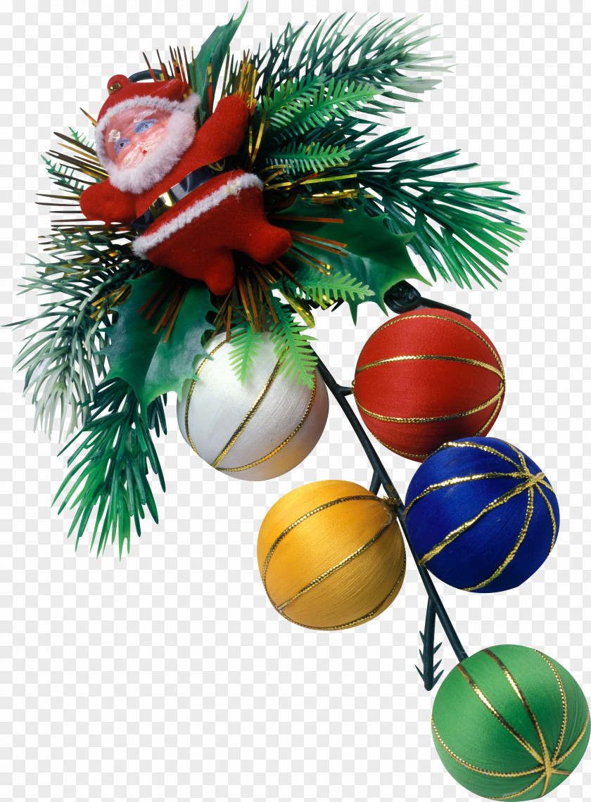 Papaya Ded Moroz Christmas Ornament New Year Tree PNG