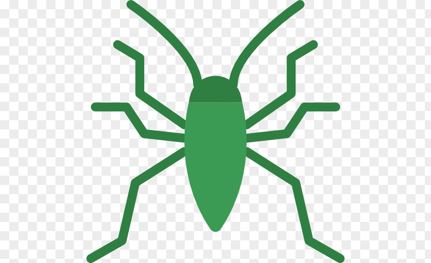Bedbug Insect True Bugs Software Bug Clip Art PNG