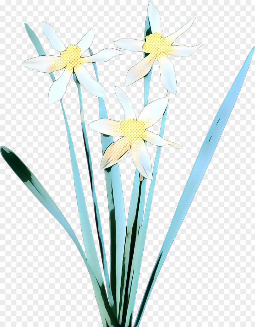 Plant Stem Pedicel Flower Narcissus Cut Flowers Flowering PNG
