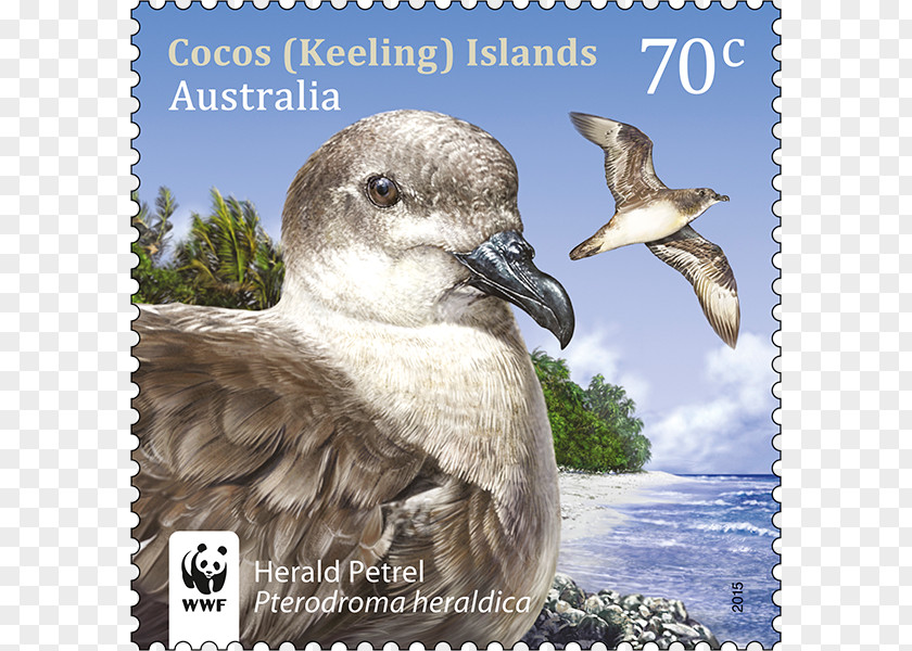 Wanted Stamps Birds Of Asia And Australia Cocos (Keeling) Islands Post Postage Postal History PNG