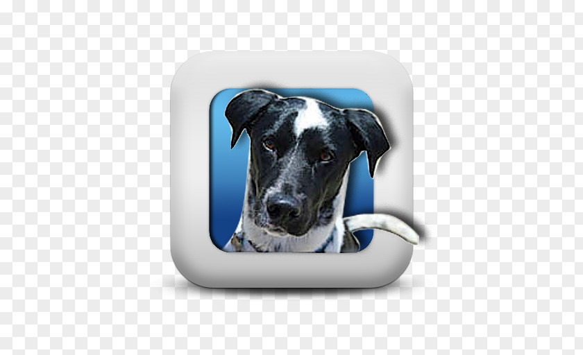 Youtube Dog Breed Great Dane YouTube Game Gazima GmbH PNG