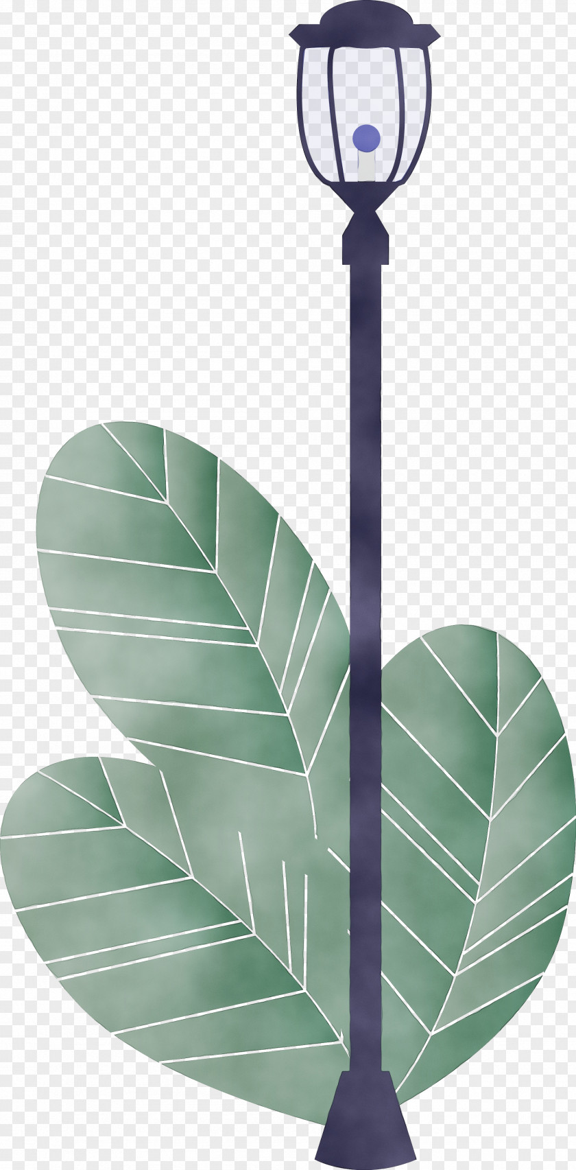 Leaf Green Plant PNG