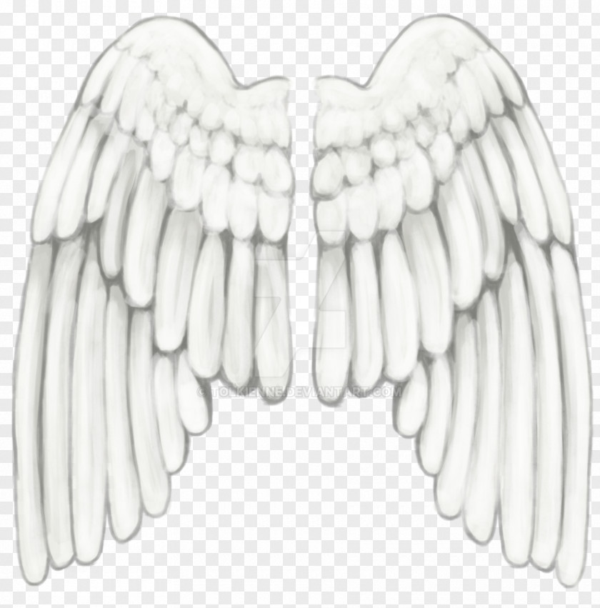 Angel Drawing Feather Wing PNG