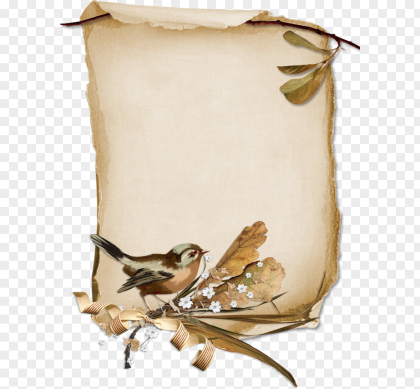 Bird Paper Parchment Scroll PNG