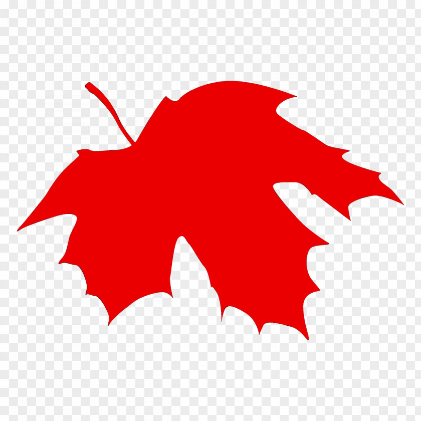 Logo Plane Maple Leaf PNG