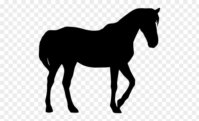 Mustang Silhouette Standing Horse PNG