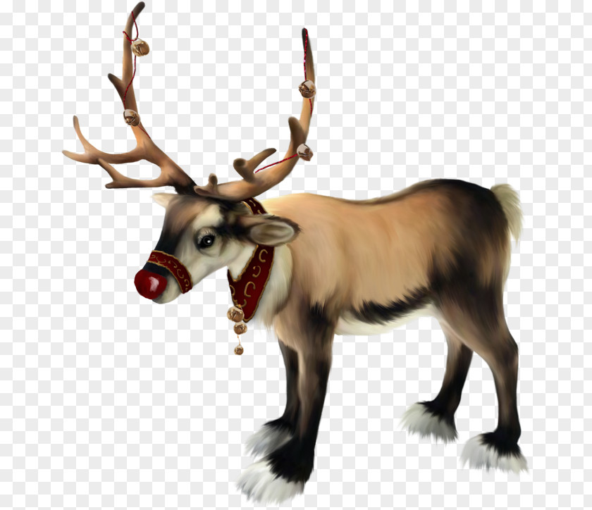 Santa Claus Rudolph Reindeer Christmas PNG