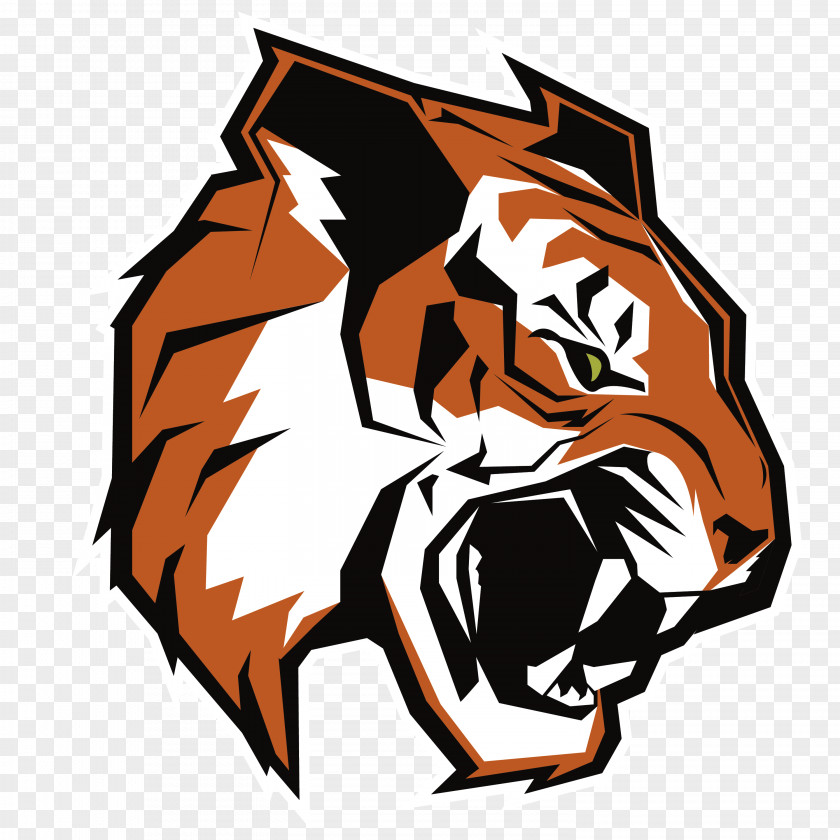 Tigers Oliver Ames High School Sharon Attleboro National Secondary Stoughton PNG