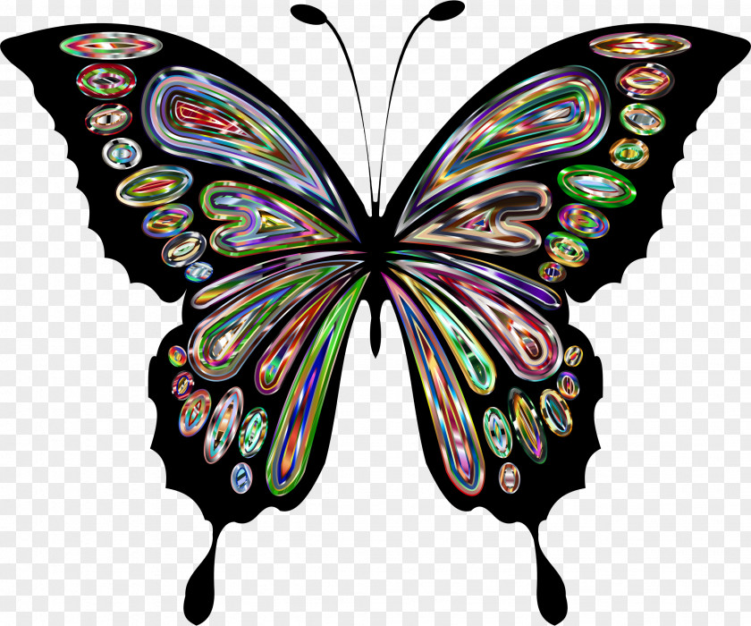 Batterfly Butterfly Drawing Clip Art PNG