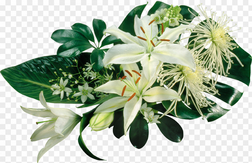 Flower Bouquet Floral Design Birthday Lilium PNG