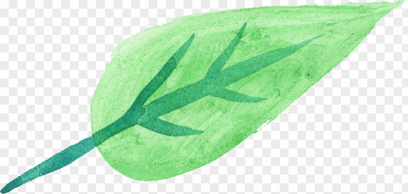 Leaves Watercolor Painting Leaf Green PNG
