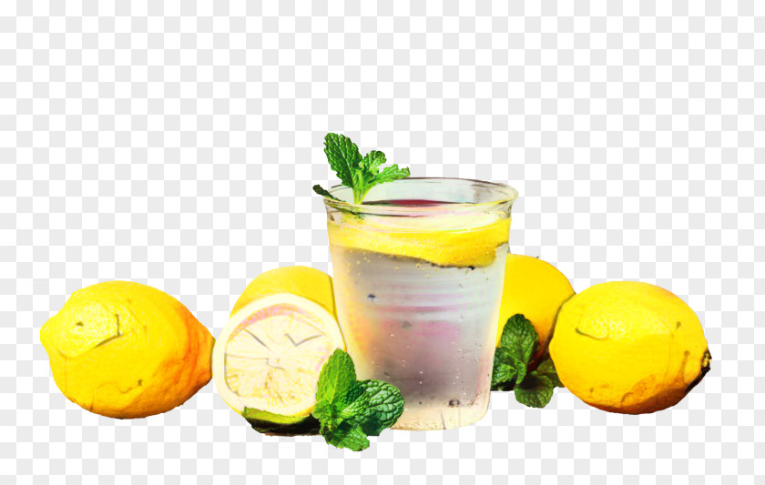 Lemonade Juice Lemon-lime Drink Fizzy Drinks PNG