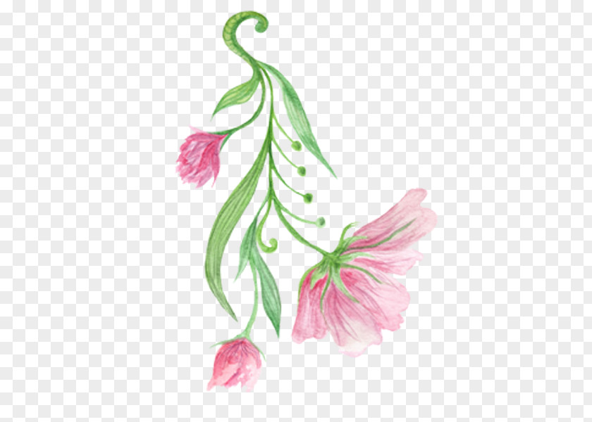 Pink Hibiscus Flower Painting Mutabilis Floral Design PNG