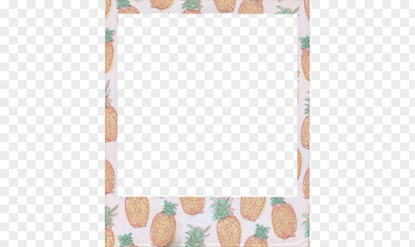 Polaroid FRAMES Picture Frames Photography Pineapple Corporation PNG