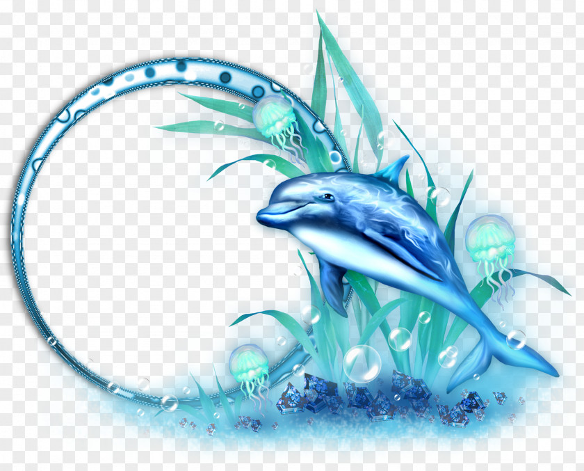 Decorative Borders Blue Whale Dolphin Clip Art PNG