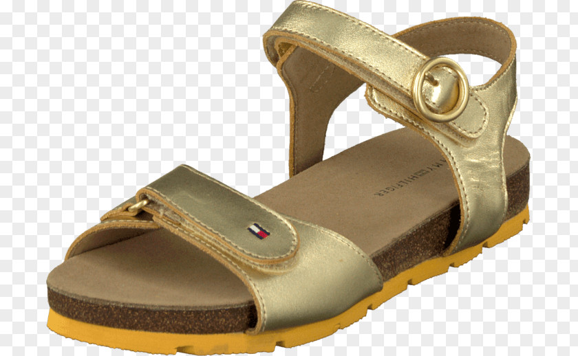 Sandal Slipper Shoe Blue Sneakers PNG