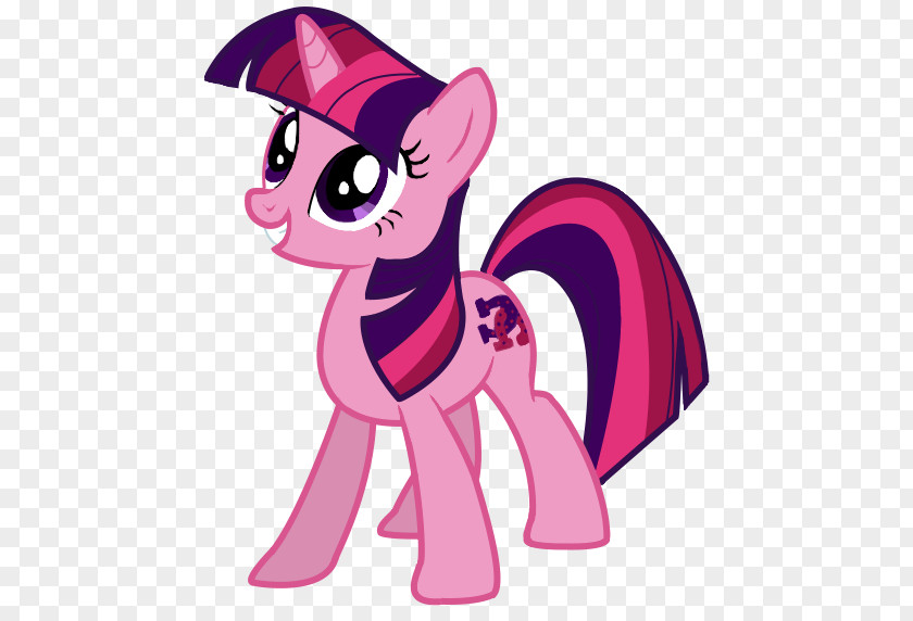 Sparkle Swirl Twilight Pony Rainbow Dash Rarity Applejack PNG