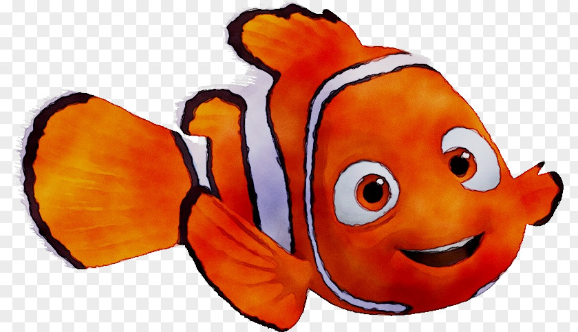 Finding Nemo Squirt The Walt Disney Company Film PNG