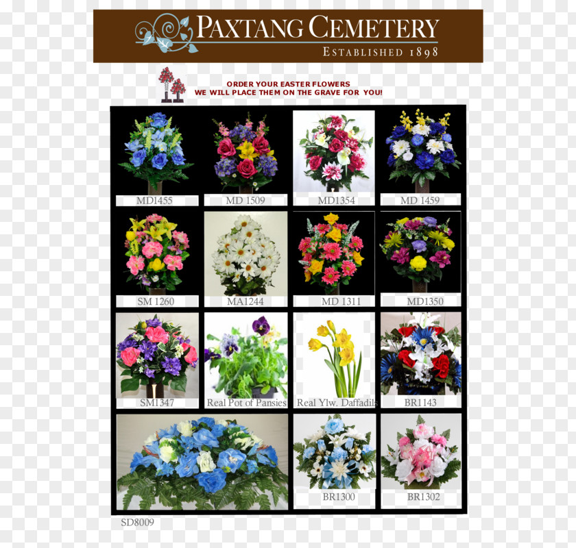 Flower Floral Design Cut Flowers Flowering Plant Pattern PNG
