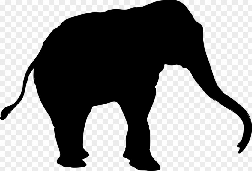 Indian Elephant African Cat Terrestrial Animal PNG