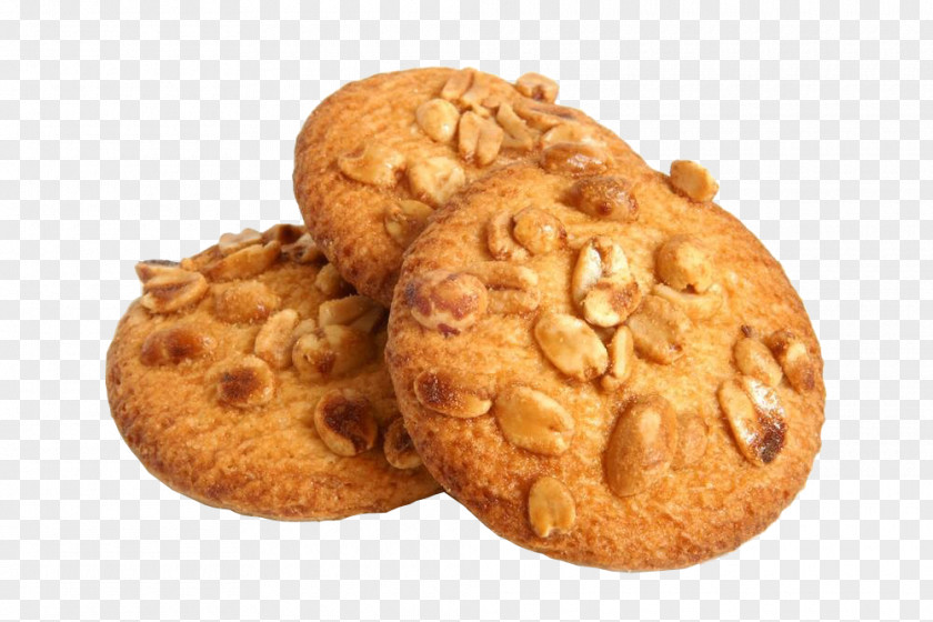 Nut Cookies Peanut Butter Cookie Chocolate Chip Anzac Biscuit PNG