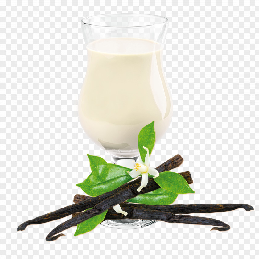 Chang Shuangbing Drink Mix Milkshake Flavor Meal Replacement Vanilla PNG