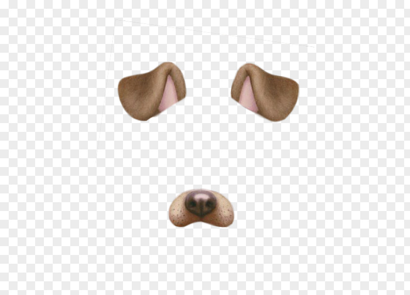 Dog Snapchat PNG