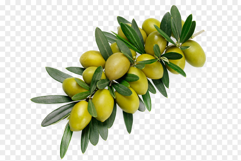 Green Olives Olive Branch Stock Photography Alamy PNG