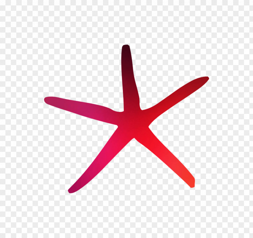Starfish Line Angle Product Design Graphics PNG